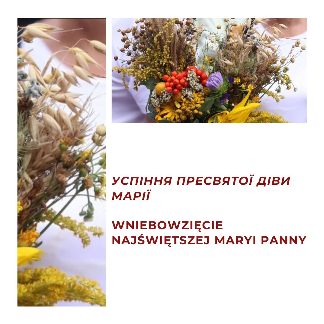 фонове зображення