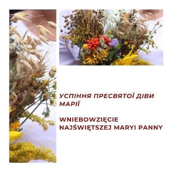 фотографія університету
