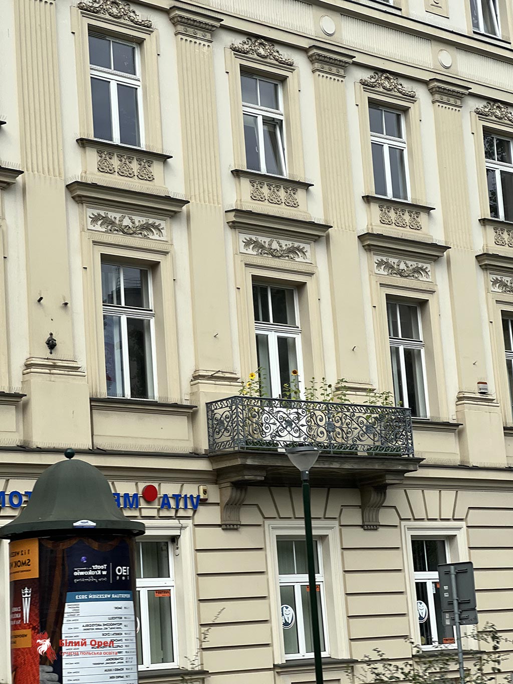 Освіта індустрія моди в Польщі після 11 класу