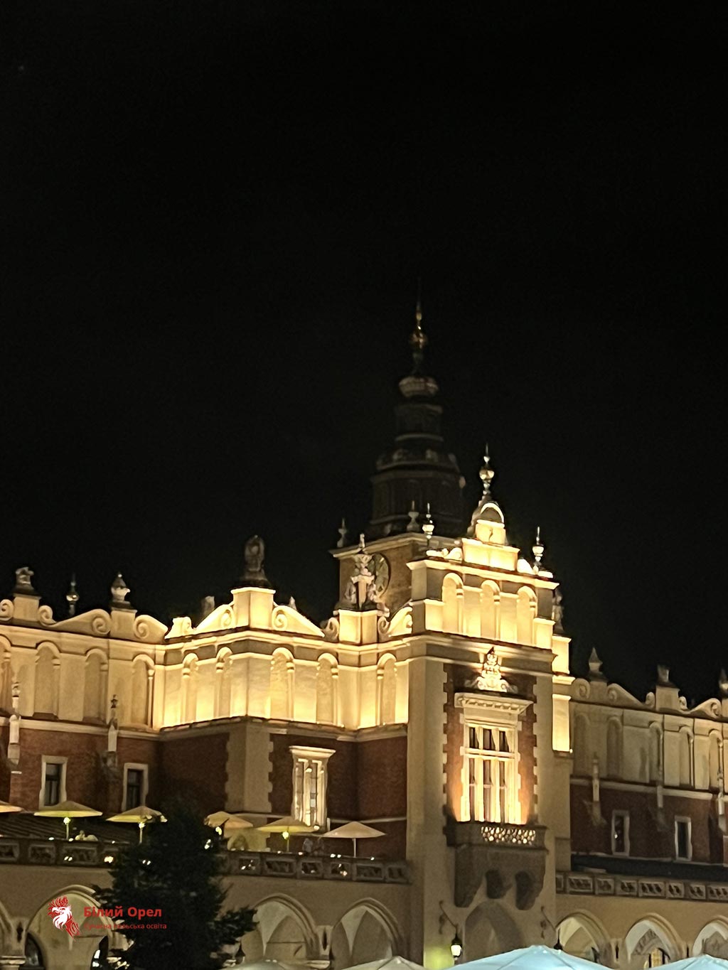 Навчання на економіста в Польщі після 11 класу
