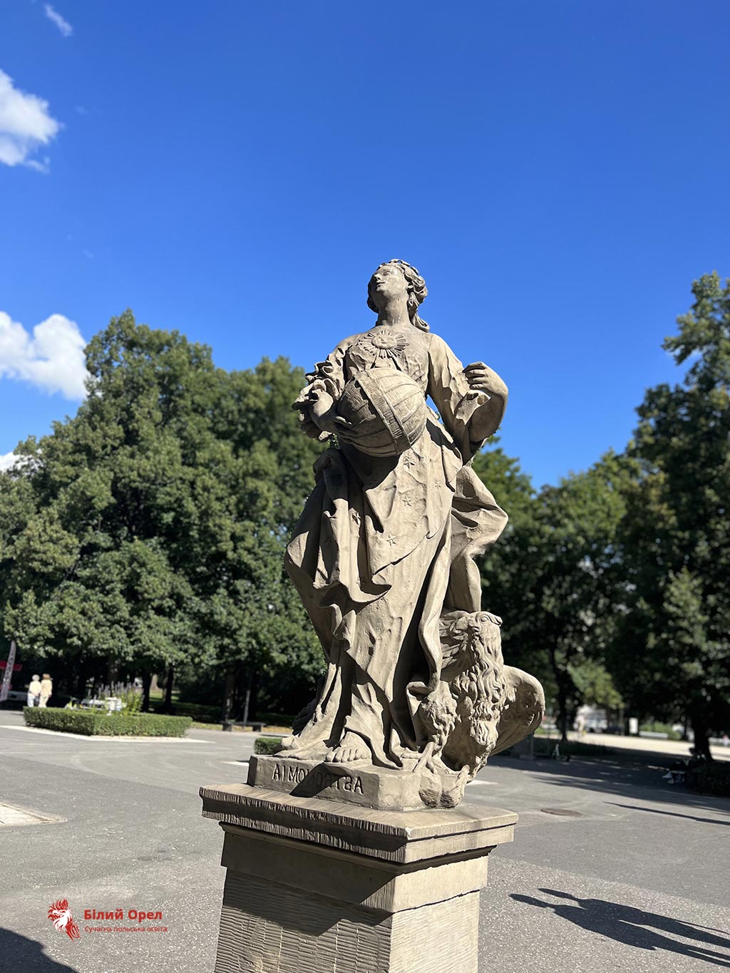 Обучение на фотографа в Польше после 9 класса